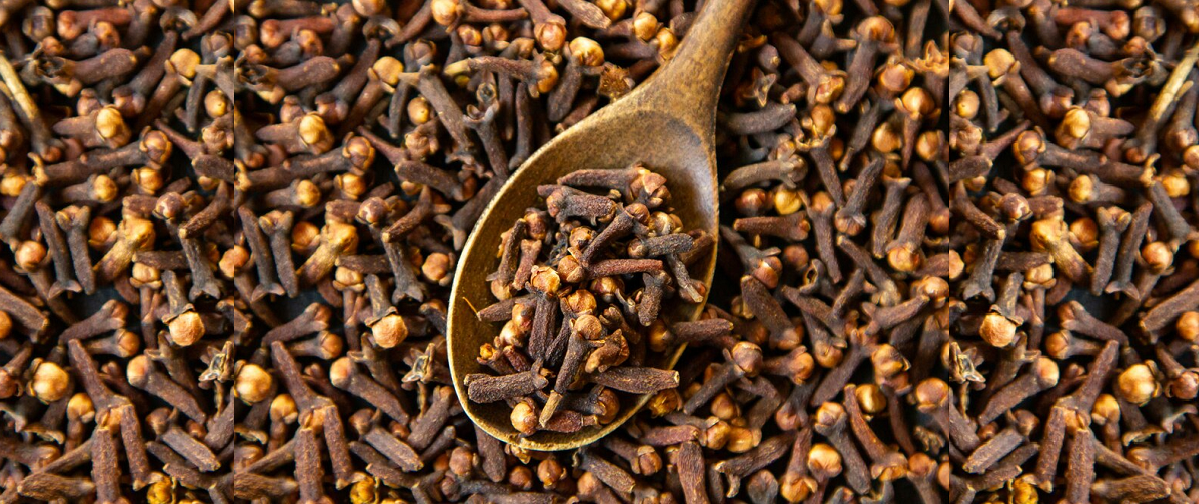 Sexual Benefits of Cloves for Men and Women